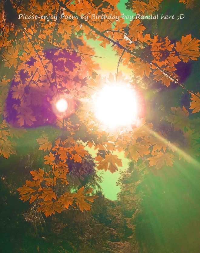 C-_Users_catherine_Pictures_.-