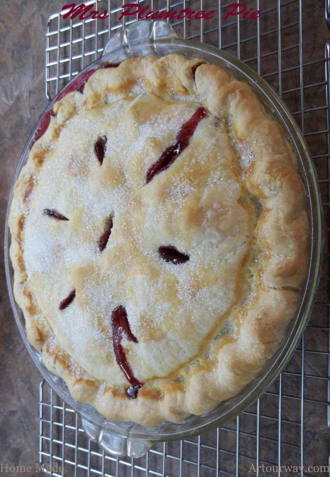 Mrs Plumtree Pie