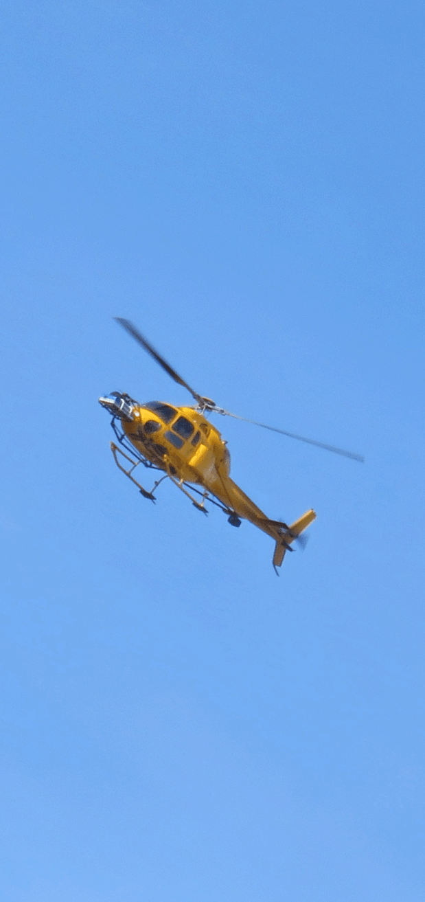 ° ° ° Castle2020 ° °&nbsp;°