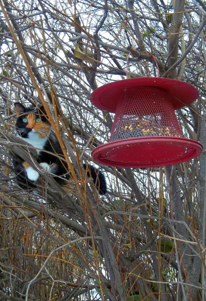 Mes trésor, comment ça va ?