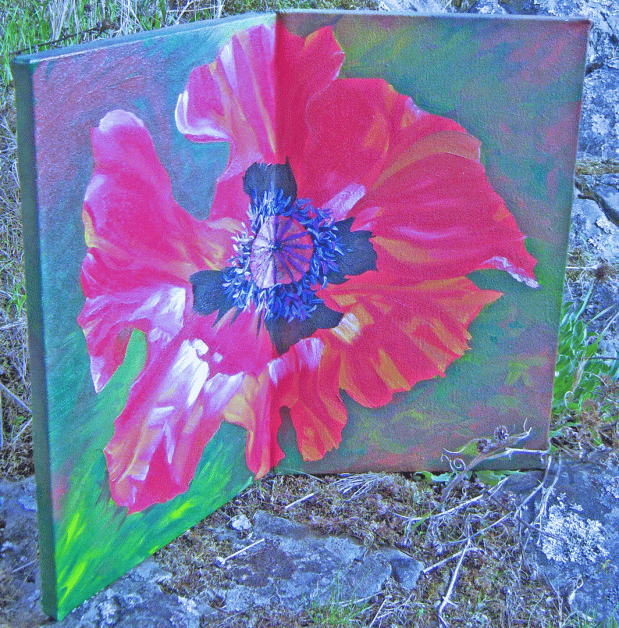 ° ° °FEB JAN 21 DEC NOV 20° ° °&nbsp;Nov11