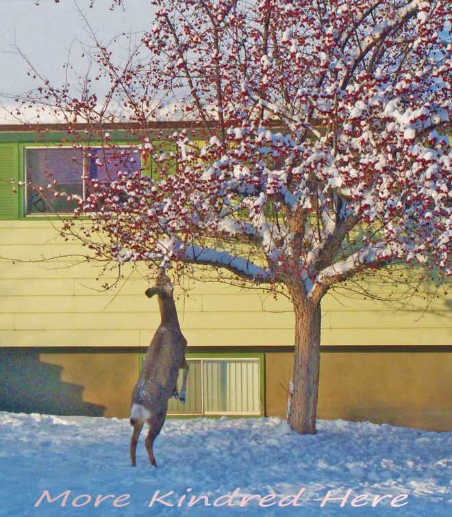 C-_Users_catherine_Pictures_.-.-