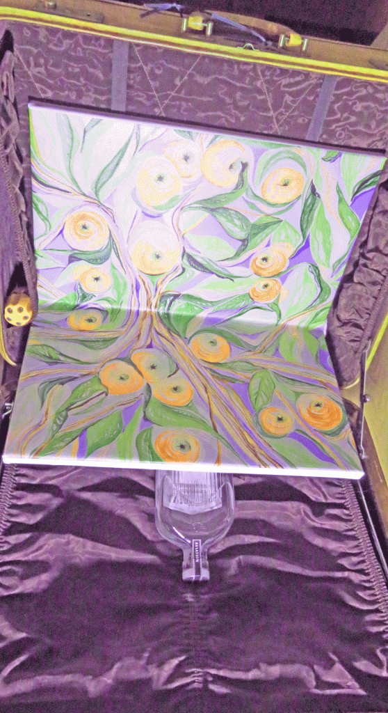 This image has an empty alt attribute; its file name is img_3685-8.gif