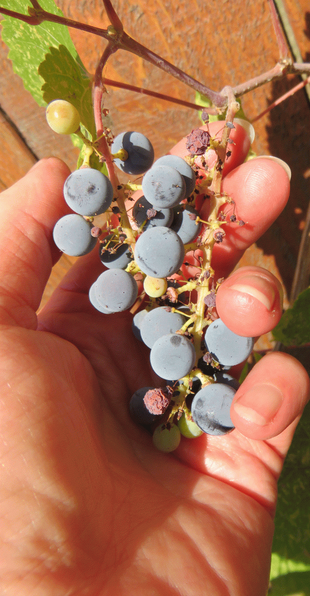 ° ° °@Twitter ° ° ° 2020 ° ° ° 2120° °&nbsp;°