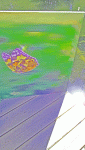 100_9776-(5)